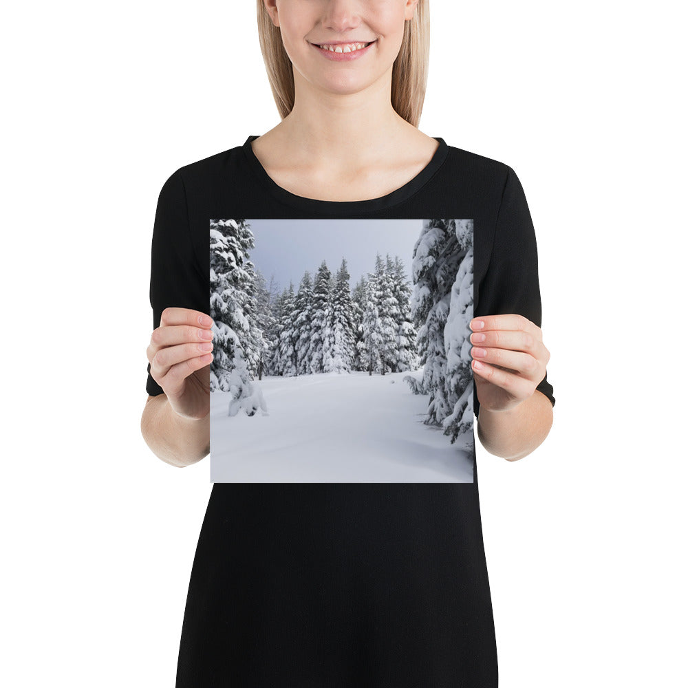 Winter Trees Print