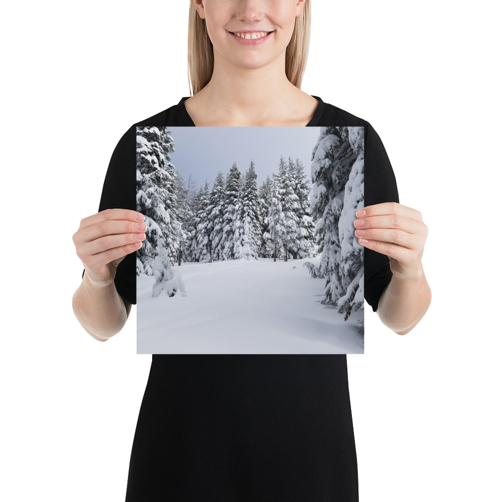 Winter Trees Print