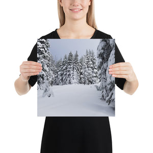 Winter Trees Print