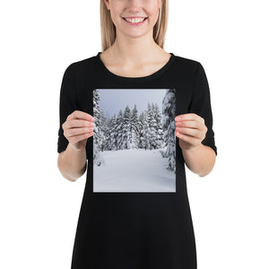 Winter Trees Print